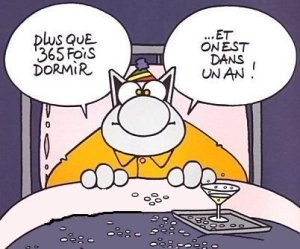 le-chat-365-joursvu