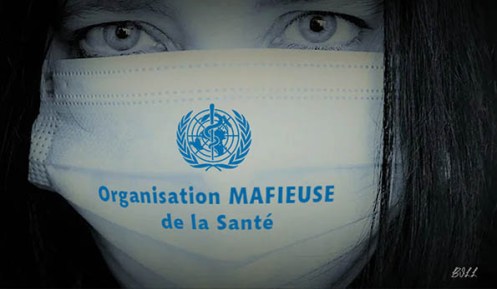 Meme-Bill-masque-OMS-Organisation-Mafieuse-sante-f4318-e5ffd